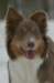 a06honey9monthsold3_small.jpg