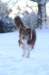a06honey9monthsold_small.jpg