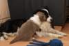 a07honey39daysold_small.jpg