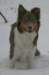 a07honey9monthsold3_small.jpg