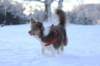 a07honey9monthsold_small.jpg