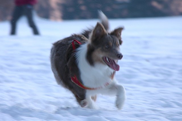 a08honey9monthsold2.jpg