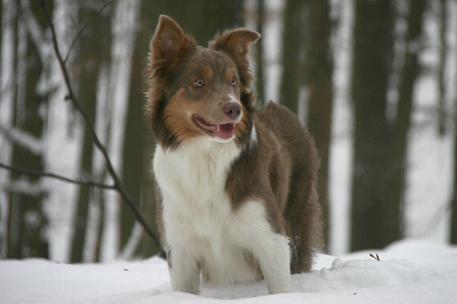 a08honey9monthsold3.jpg