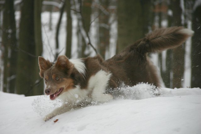 a10honey9monthsold3.jpg