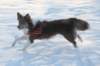 a10honey9monthsold_small.jpg