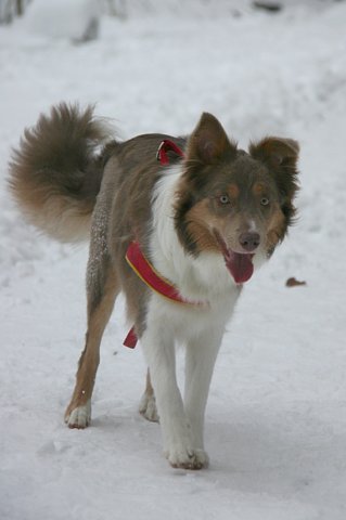 a14honey9monthsold2.jpg