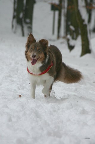a15honey9monthsold2.jpg