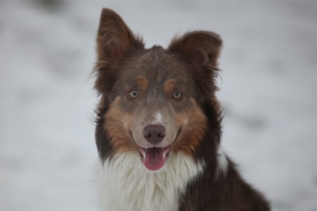 c02honey9monthsold.jpg