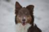 c02honey9monthsold_small.jpg