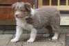 c05honey42daysold_small.jpg