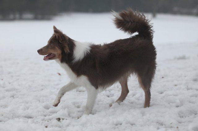 c06honey9monthsold.jpg