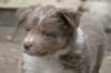 c07honey42daysold_small.jpg