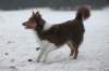 c08honey9monthsold_small.jpg