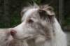 c09lizz09052010_small.jpg