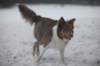 c10honey9monthsold_small.jpg