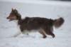 c21honey9monthsold_small.jpg