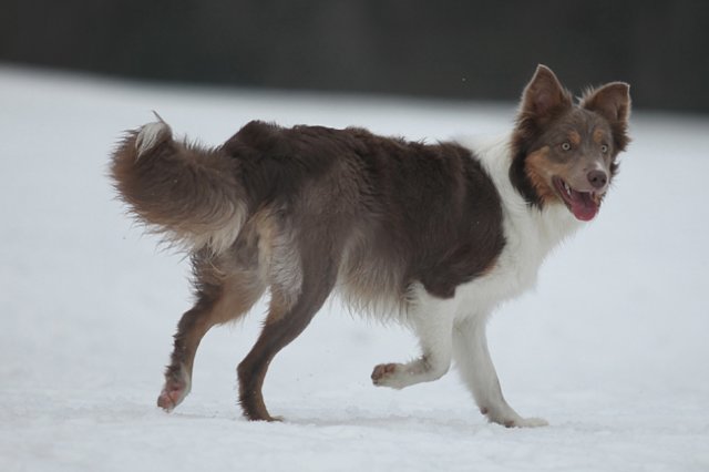 c22honey9monthsold.jpg