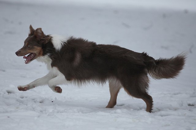 c26honey9monthsold.jpg