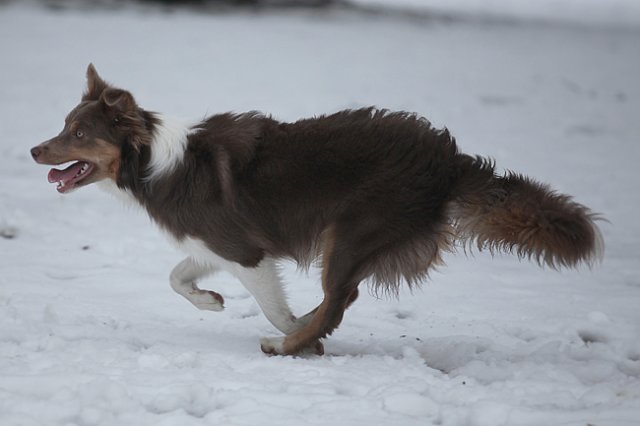c27honey9monthsold.jpg