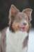c38honey9monthsold_small.jpg