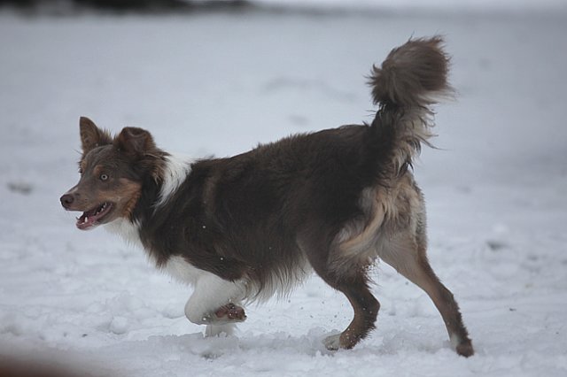 c39honey9monthsold.jpg
