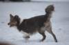 c39honey9monthsold_small.jpg