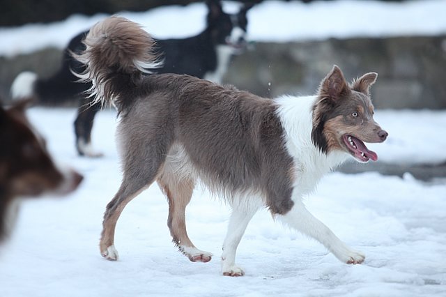 c42honey9monthsold.jpg