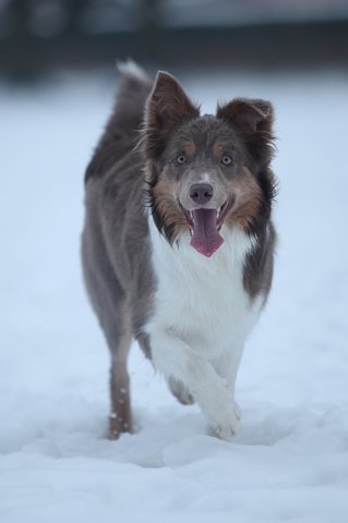 c44honey9monthsold.jpg