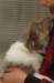 d02honey44daysoldatthevet_small.jpg