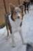 e01honey9monthsold_small.jpg