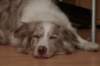 e01lizz140510_small.jpg