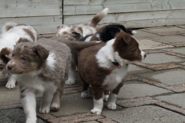 e03honey47daysold.jpg