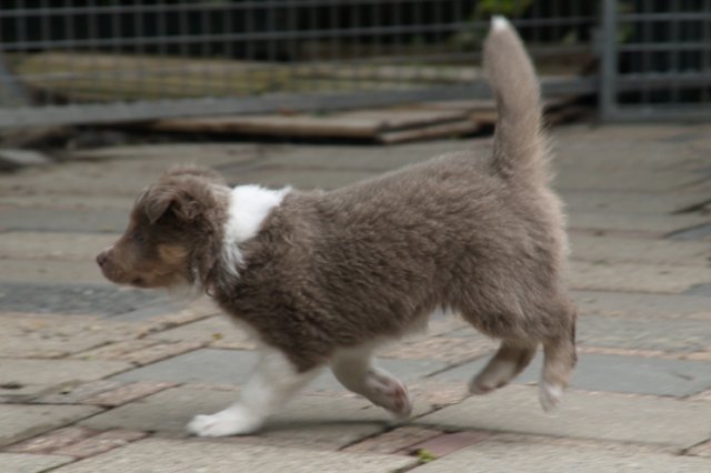 e04honey47daysold.jpg