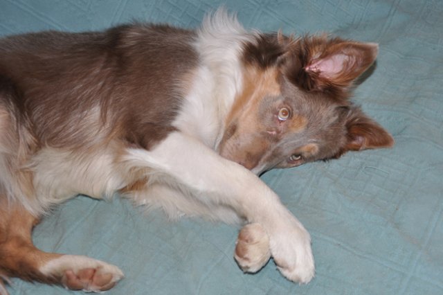e04honey9monthsold.jpg