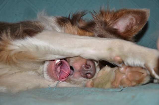 e08honey9monthsold.jpg