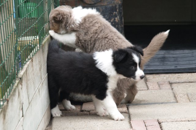 e10honey47daysold.jpg