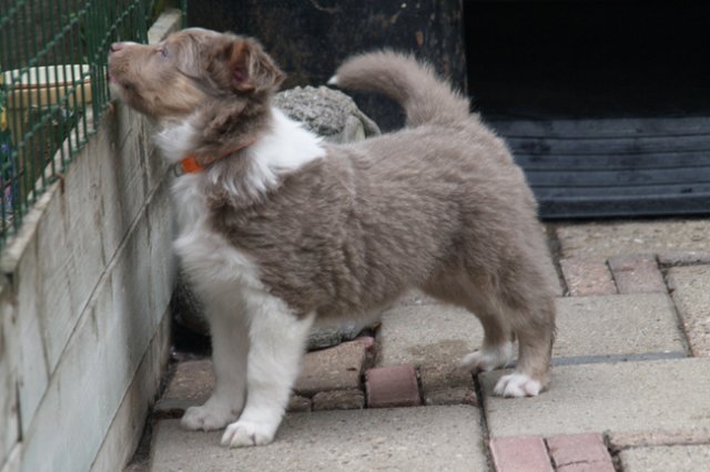 e11honey47daysold.jpg