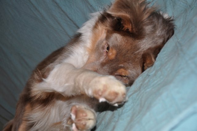 e11honey9monthsold.jpg