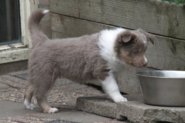 e15honey47daysold.jpg