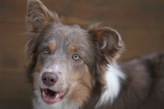f01honey9monthsold.jpg