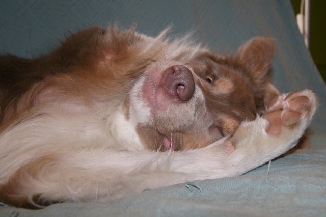 g02honey9monthsold.jpg