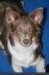 g08honey9monthsold_small.jpg