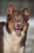 h02honey9monthsold_small.jpg