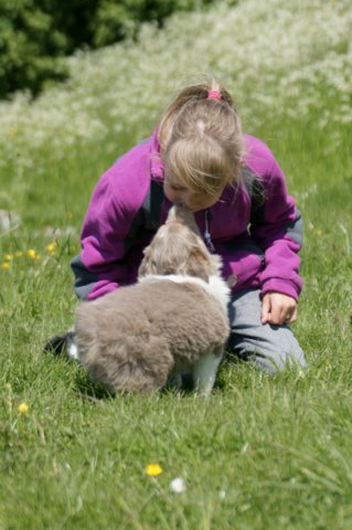 h09honey52daysold.jpg