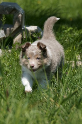 h16honey52daysold.jpg