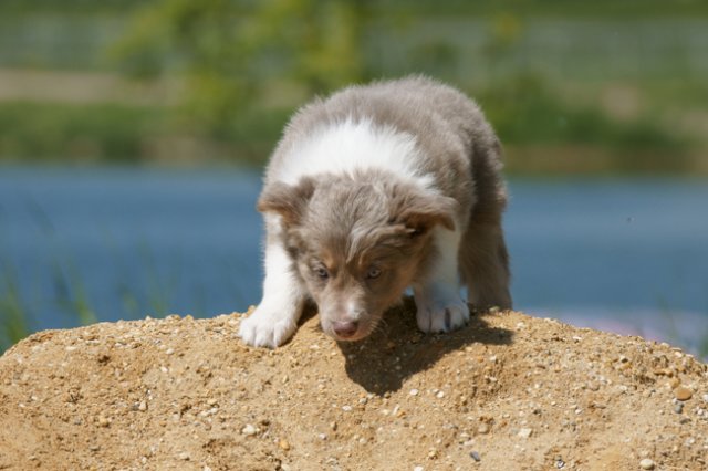 h24honey52daysold.jpg
