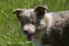 h42honey52daysold_small.jpg