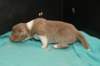 honey14daysold_small.jpg