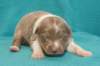 honey15daysold4_small.jpg