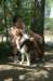 honey1year1montholdchristine_small.jpg